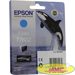 EPSON C13T76024010 SC-P600 Cyan (cons ink)