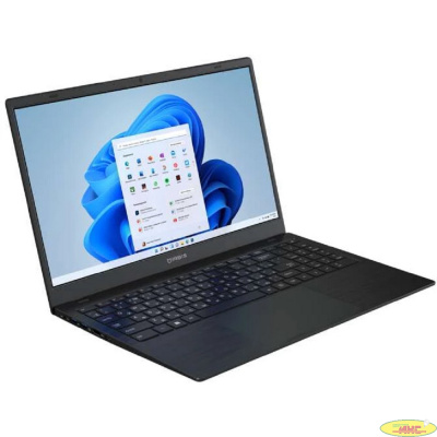 IRBIS Breeze [15NBC1015B] Black 15.6" {FHD Intel N100/8GB/256GB SSD/W11Pro}