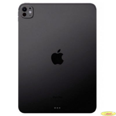 Apple iPad Pro 11-inch 256 Gb WiFi + Cellular Space Black  MVW13HN/A